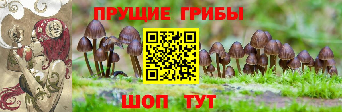 Псилоцибиновые грибы мицелий  Вход с VPN  купить  цена  Черногорск 